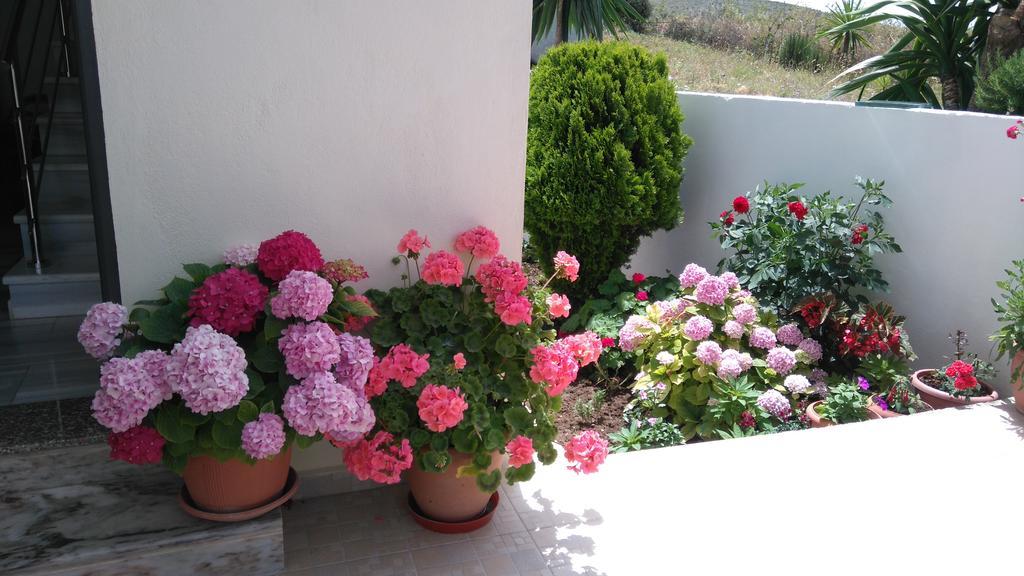 Erdeti Boutique Hotel Σαράντα Εξωτερικό φωτογραφία