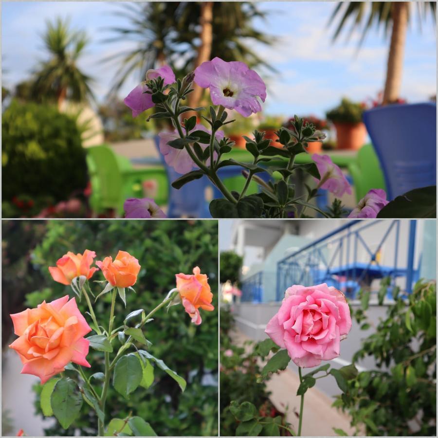 Erdeti Boutique Hotel Σαράντα Εξωτερικό φωτογραφία
